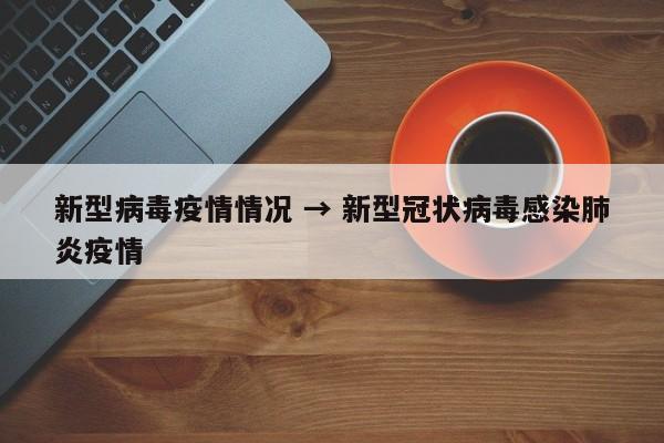 新型病毒疫情情况 → 新型冠状病毒感染肺炎疫情