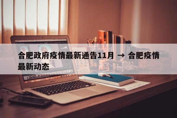 合肥政府疫情最新通告11月 → 合肥疫情最新动态