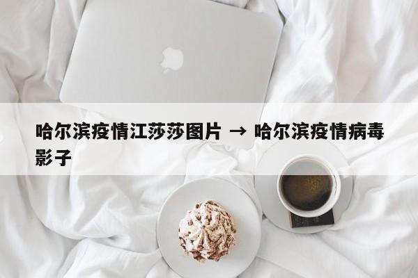 哈尔滨疫情江莎莎图片 → 哈尔滨疫情病毒影子