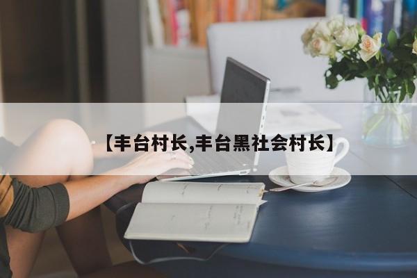 【丰台村长,丰台黑社会村长】