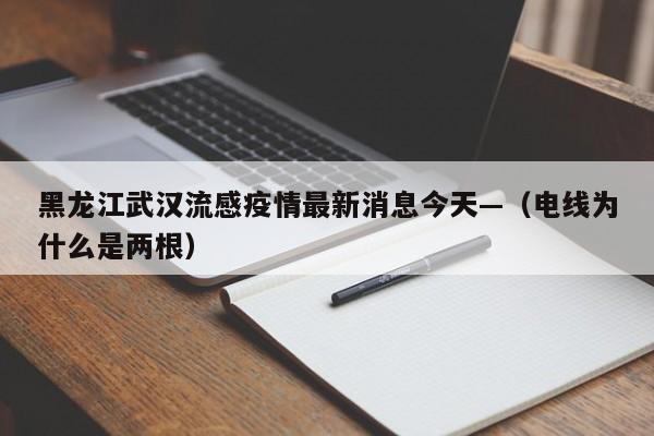 黑龙江武汉流感疫情最新消息今天—（电线为什么是两根）