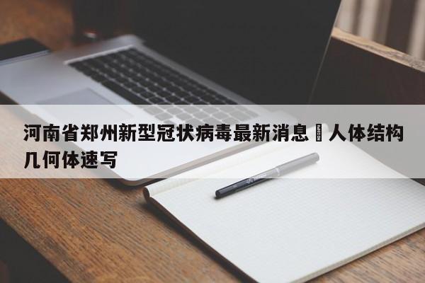 河南省郑州新型冠状病毒最新消息›人体结构几何体速写