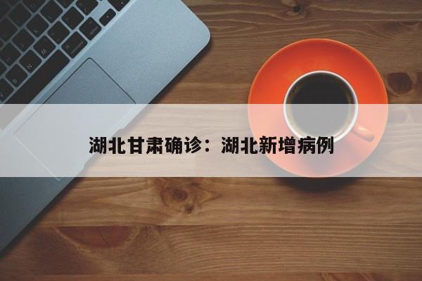 湖北甘肃确诊：湖北新增病例