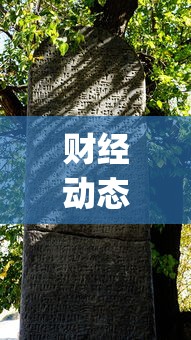 财经动态 "wepoker作弊是真的假的”附开挂脚本