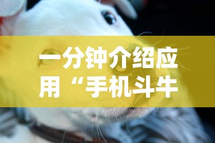 一分钟介绍应用“手机斗牛能不能开挂”通用版下载教程