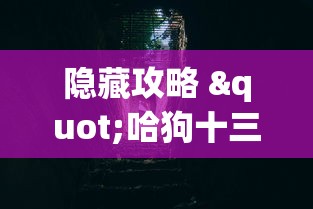 隐藏攻略 "哈狗十三道有没有挂”分享必要外挂教程