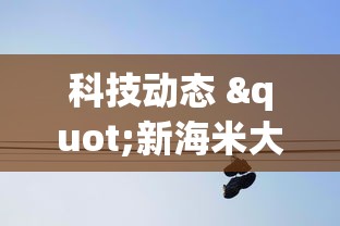 科技动态 "新海米大厅有挂吗”详细分享装挂