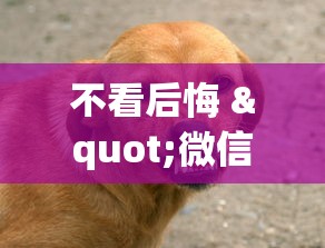 不看后悔 "微信牛牛有挂没”原来可以开挂
