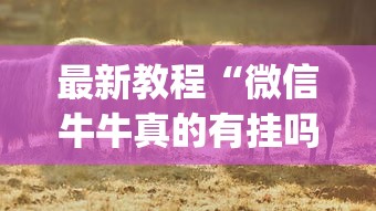 最新教程“微信牛牛真的有挂吗[分享装挂详细步骤]
