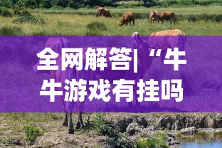 全网解答|“牛牛游戏有挂吗”(确实真的有挂)