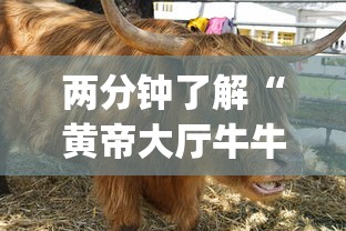 两分钟了解“黄帝大厅牛牛有挂吗?_游戏_玩家_工具