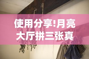使用分享!月亮大厅拼三张真的有挂吗”(曝光透视必备猫腻)